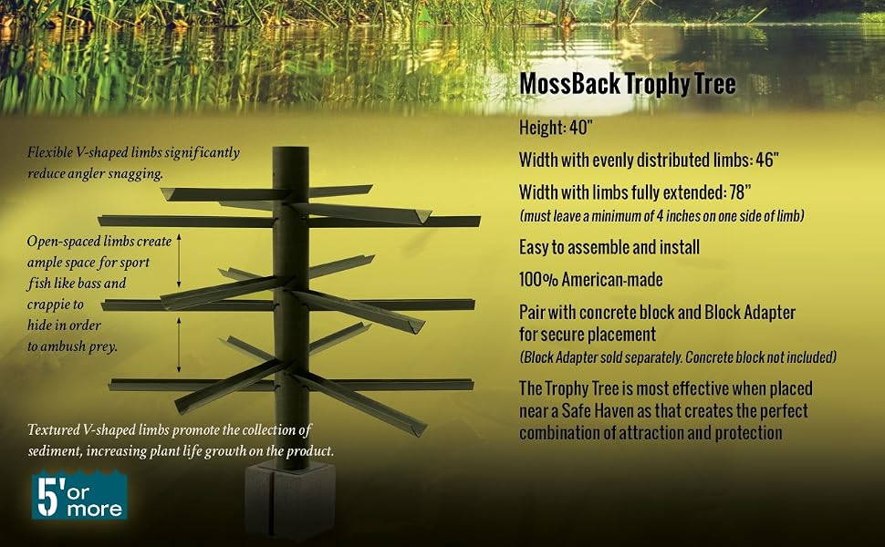 Trophy Tree Graphic