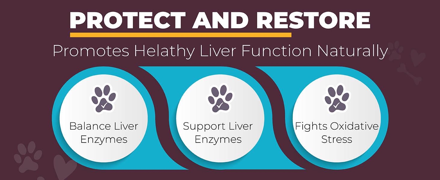 Dog Liver Health Supplement