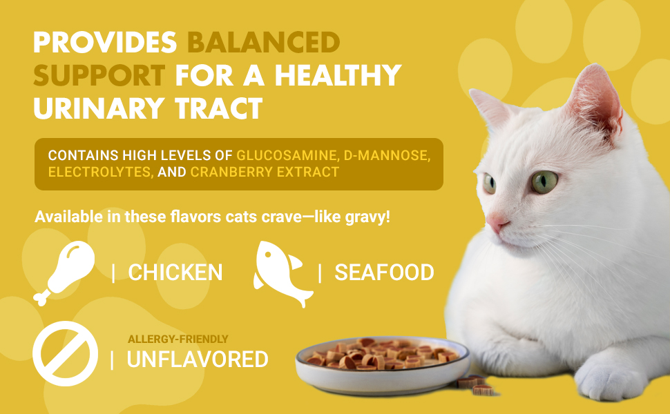 kitten urinary