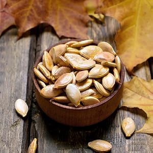 Pumpkin seeds in a bowl