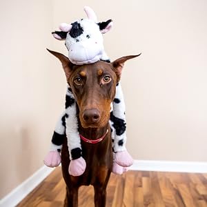 slevin, cow