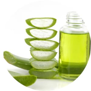 aloe