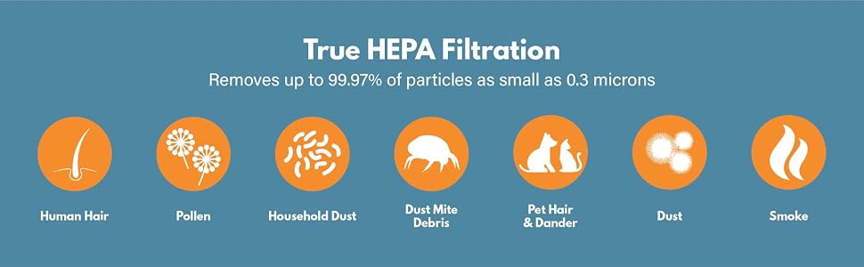 True HEPA Filtration Removes up to 99.97% of particles as small as 0.3 microns