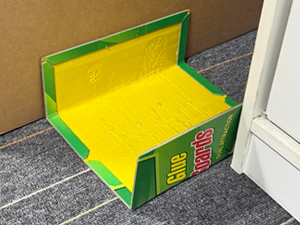 Mouse traps indoor for home