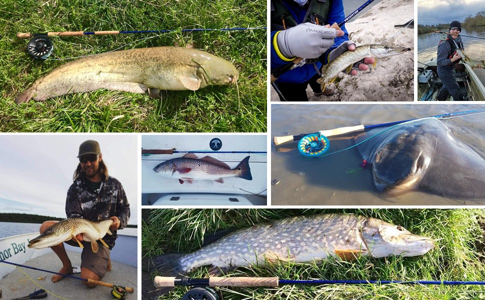 saltwater fly rod