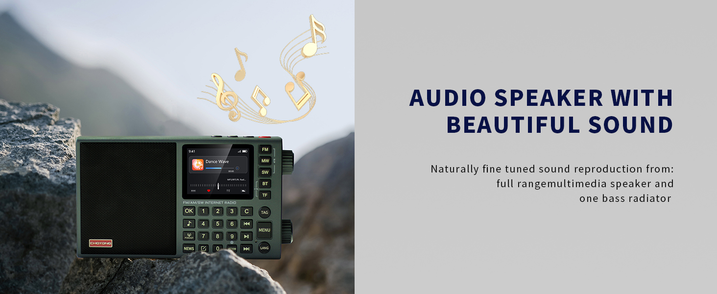 AUDIO SPEAKER