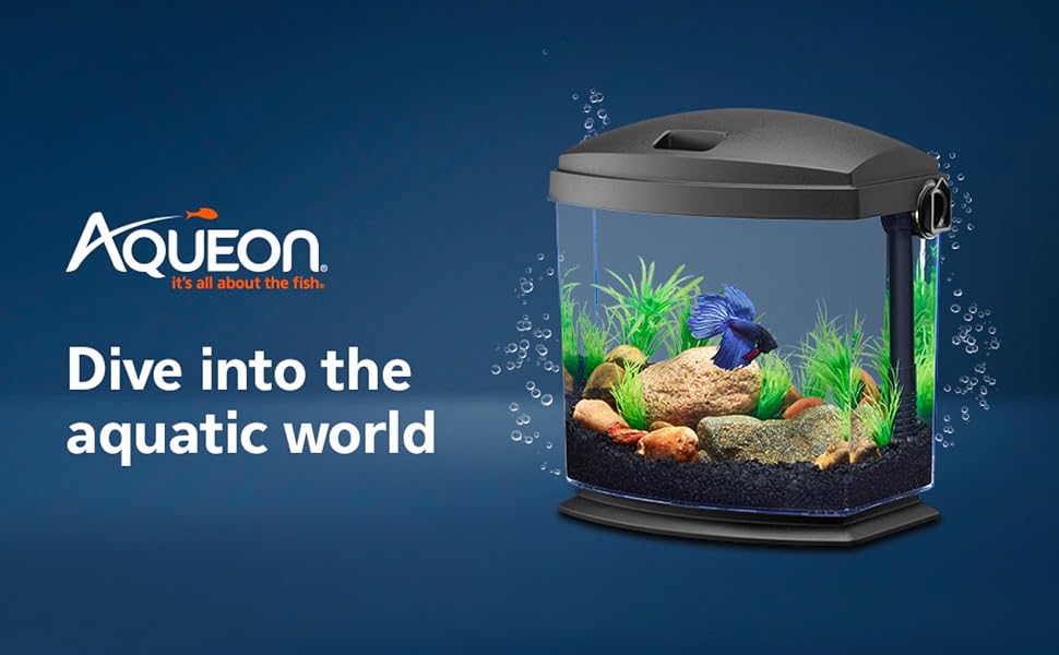 Dive into the aquatic world
