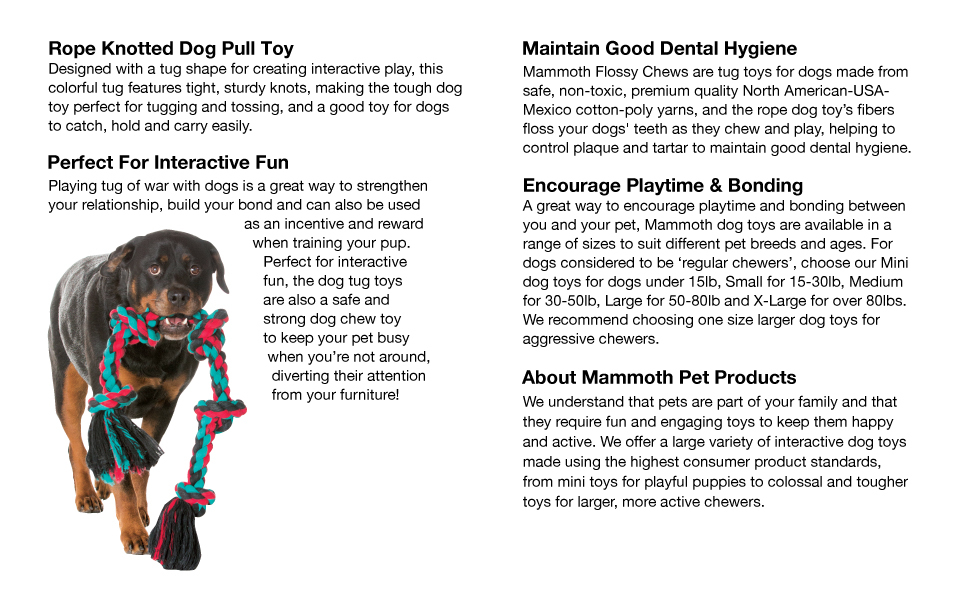 Flossy Chews - Copy