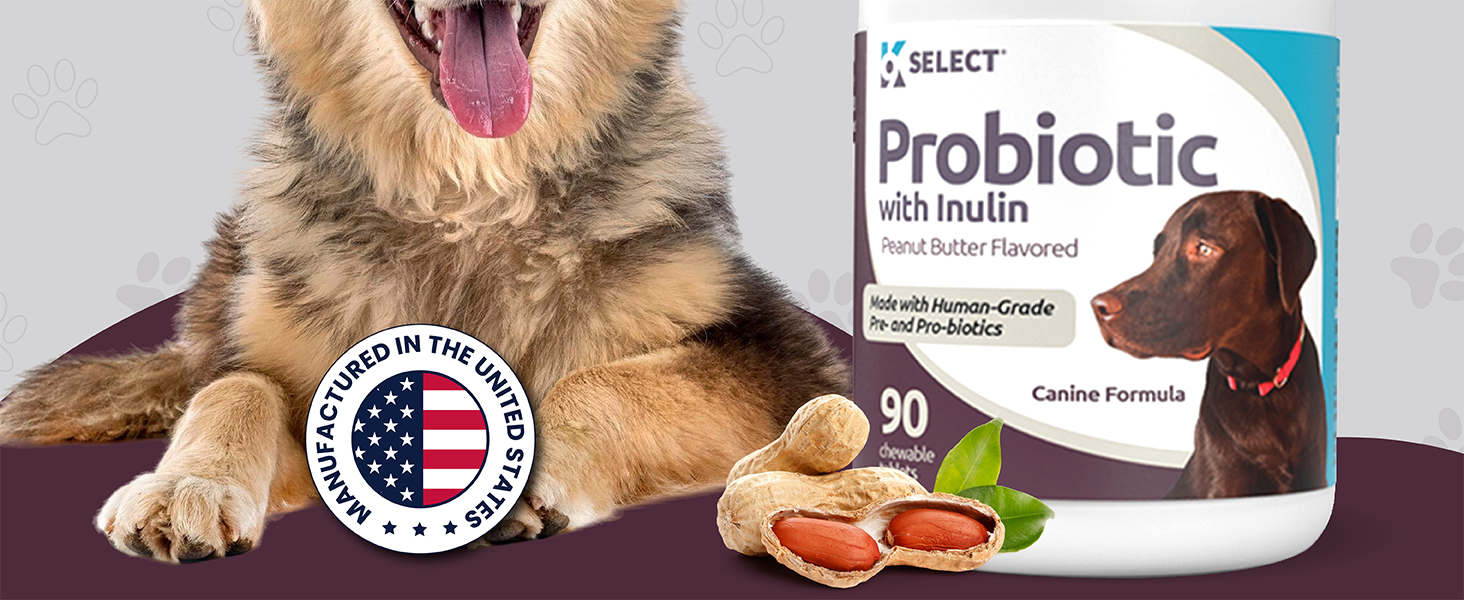 Probiotics for Dogs with Sensitive Stomachs
