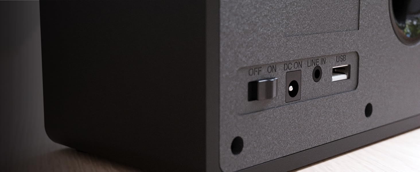 The Touro Portable Radio is equipped with a variety of ports and connections