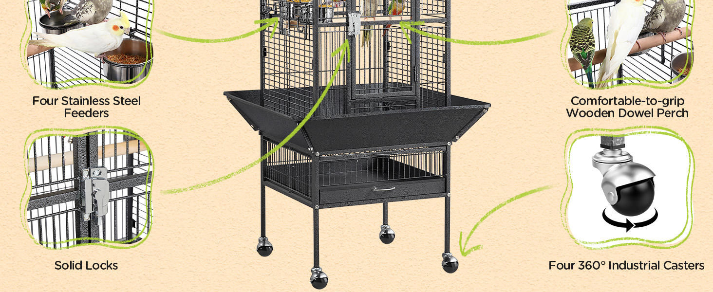 bird cage