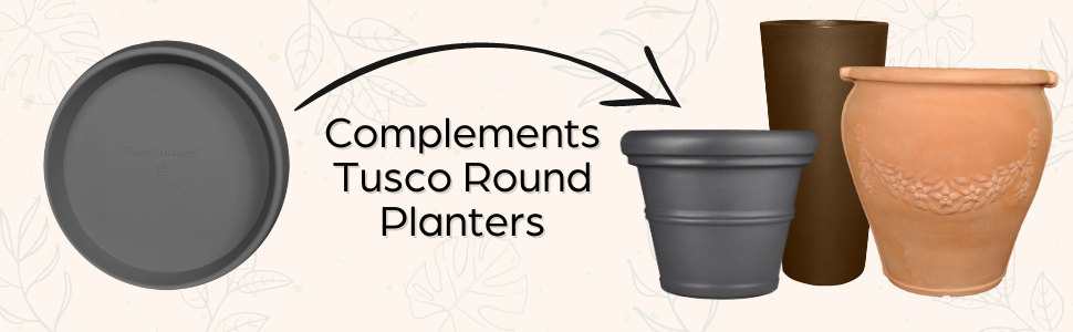 Round Saucer Features