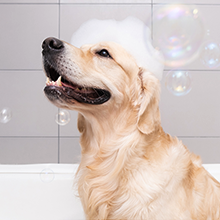 grooming products contain natural herbs