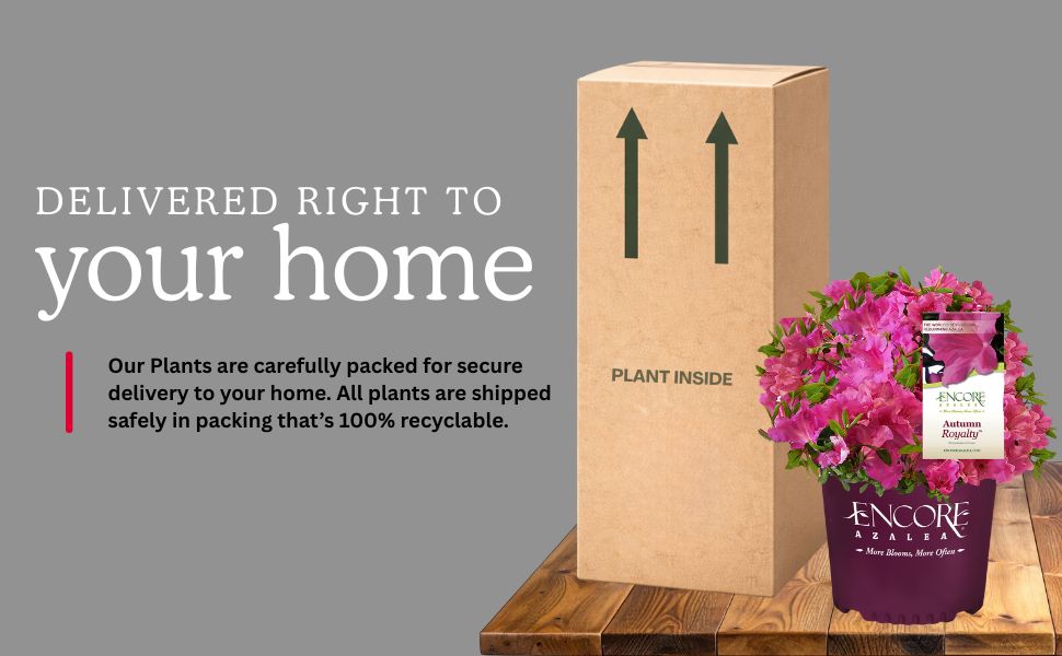 Delivered right to your home