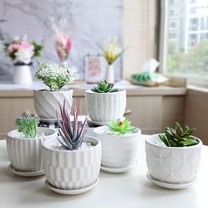 ceramic flower pots