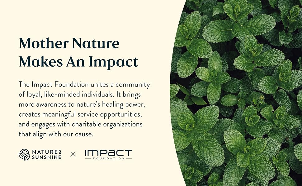 Impact Foundation