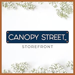canopy street gift accessory and stationery logo with storefront