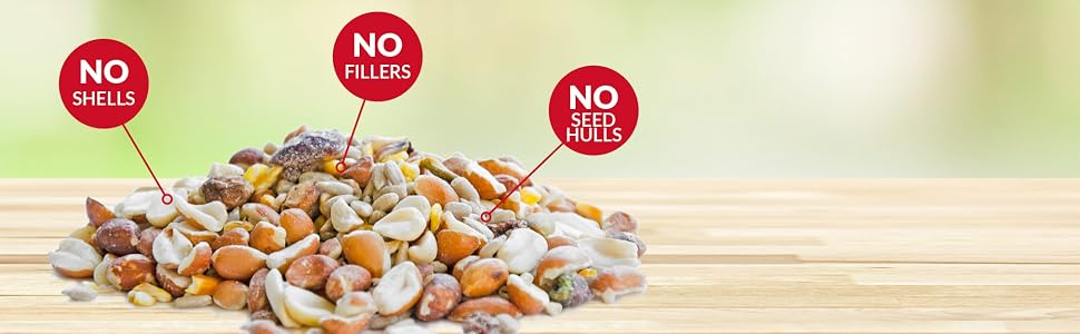 lyric, bird seed, bird food, lyric bird seed, wild bird seed, woodpecker food, woodpecker feeder