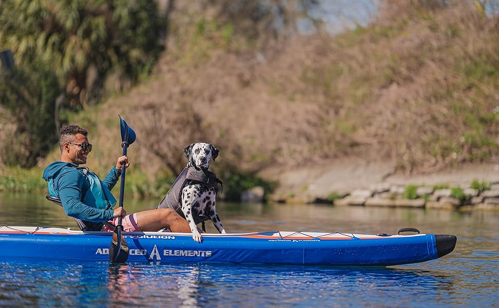 Dog approved