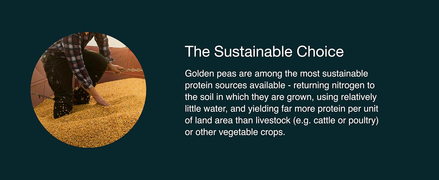 Nuzest Clean Lean Protein Sustainability