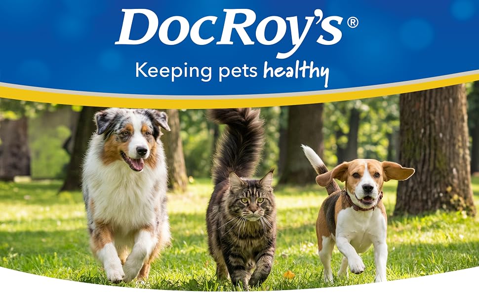 Doc Roy’s brand banner with dogs and cat running outdoors in park