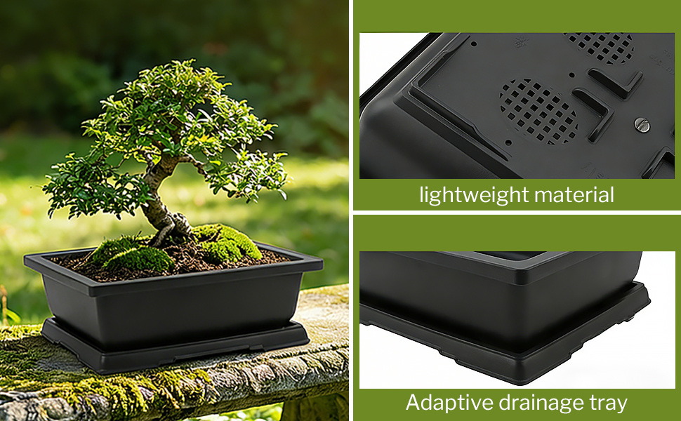 Plastic bonsai pot
