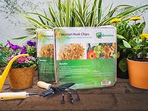 bag perlite gardening dirt wood block cactus miracle starter and vegetables