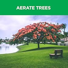 tree, aeration, aerate, hole, boring, growth
