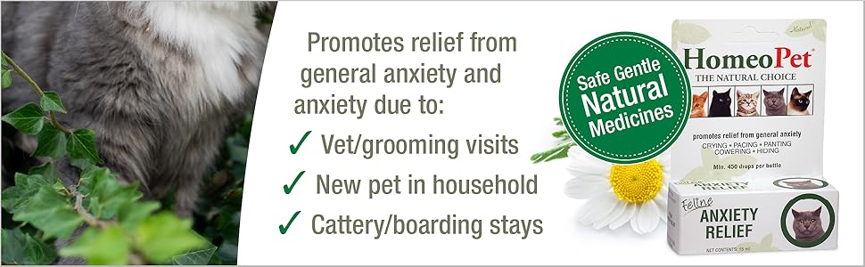 A box of medicine that helps calm cats