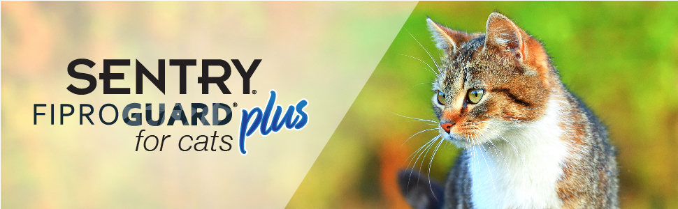 Sentry fiproguard for cats