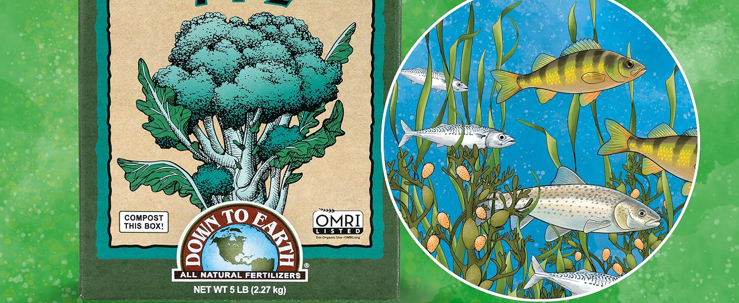 Bio-Fish 2