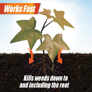 Works fast kills weeds down to and including the root