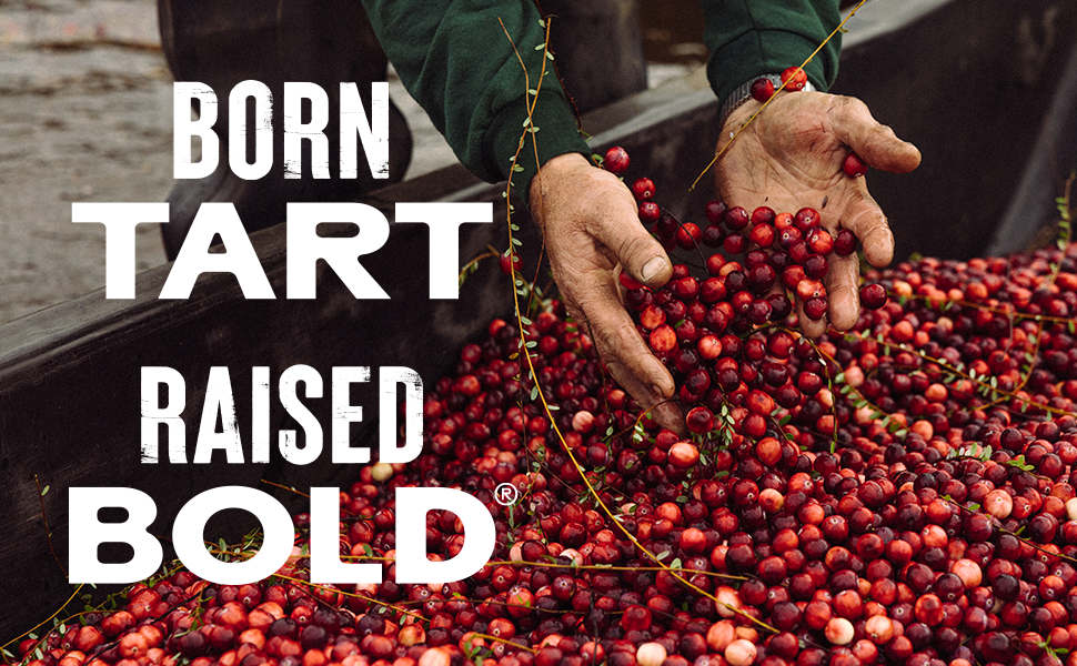 Cranberry, Farm , Bog