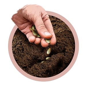 sowing the seed