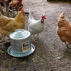 Galvanized Waterer