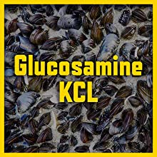 Glucosamine KCL