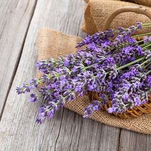 lavender in a basket