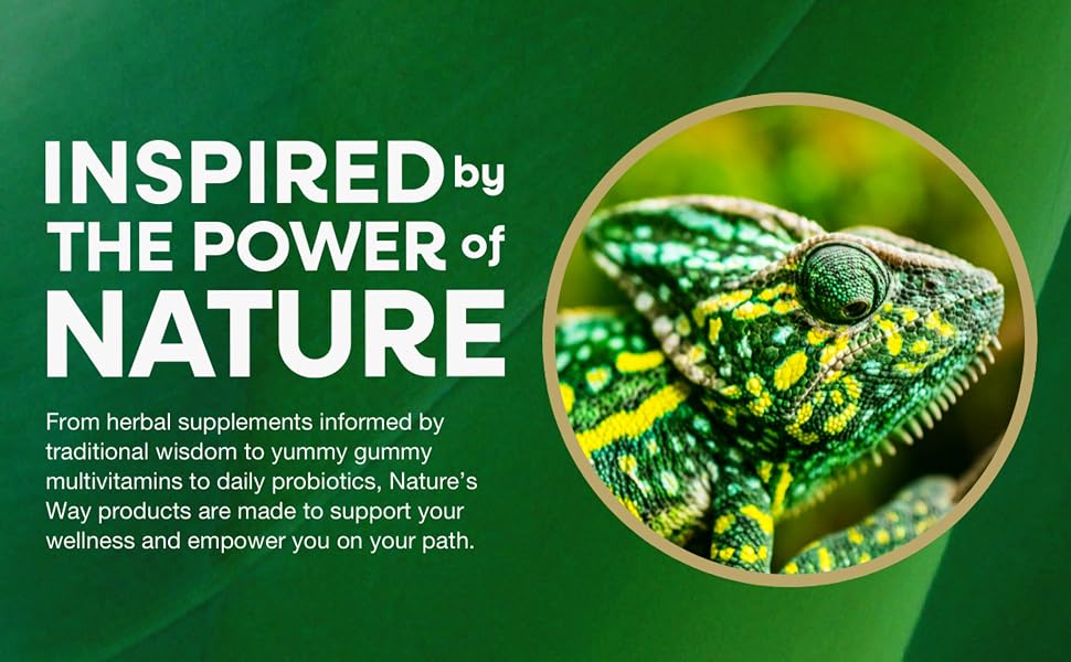 Inspired by the power of nature banner featuring green and yellow chameleon