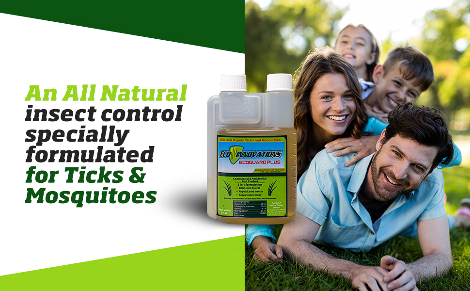 All natural insect control
