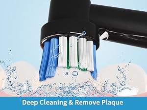 Professional Electric Toothbrush Brush Heads