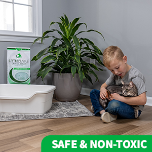 Little boy sitting on floor holding a cat, beside a litter box and plant