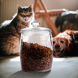 dog food