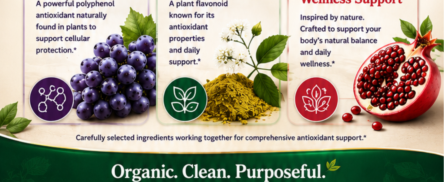 resveratrol organic antioxidant high potency daily living