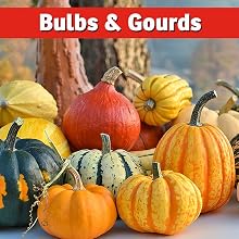 best squirrel repellent natural safe wire gourds punpkins