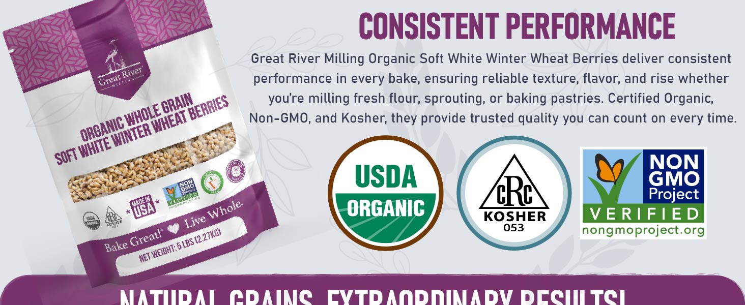 Consistent Perfomance Whole Wheat Grain Berries