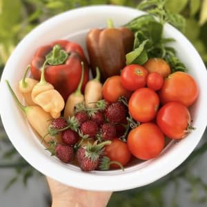 Earthworm castings for big harvests