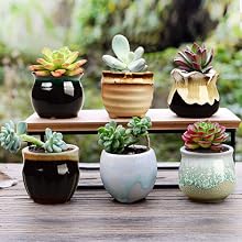cute ceramic flowerpots