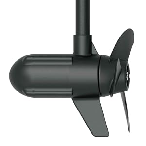 haswing motor