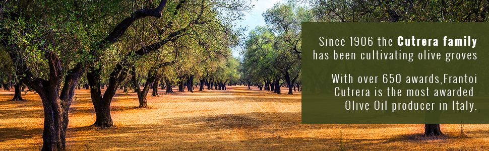 Olive Oil Italy Italian Family Olive Grove Sicilian Sicily Gourmet Food Products Real Natural