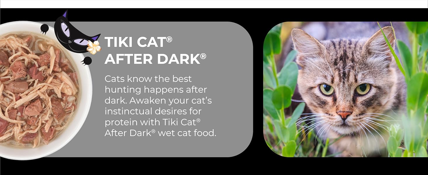 tiki cat after dark velvet mousse pate whole foods shreds hunting meaty carnivore nutrition cats